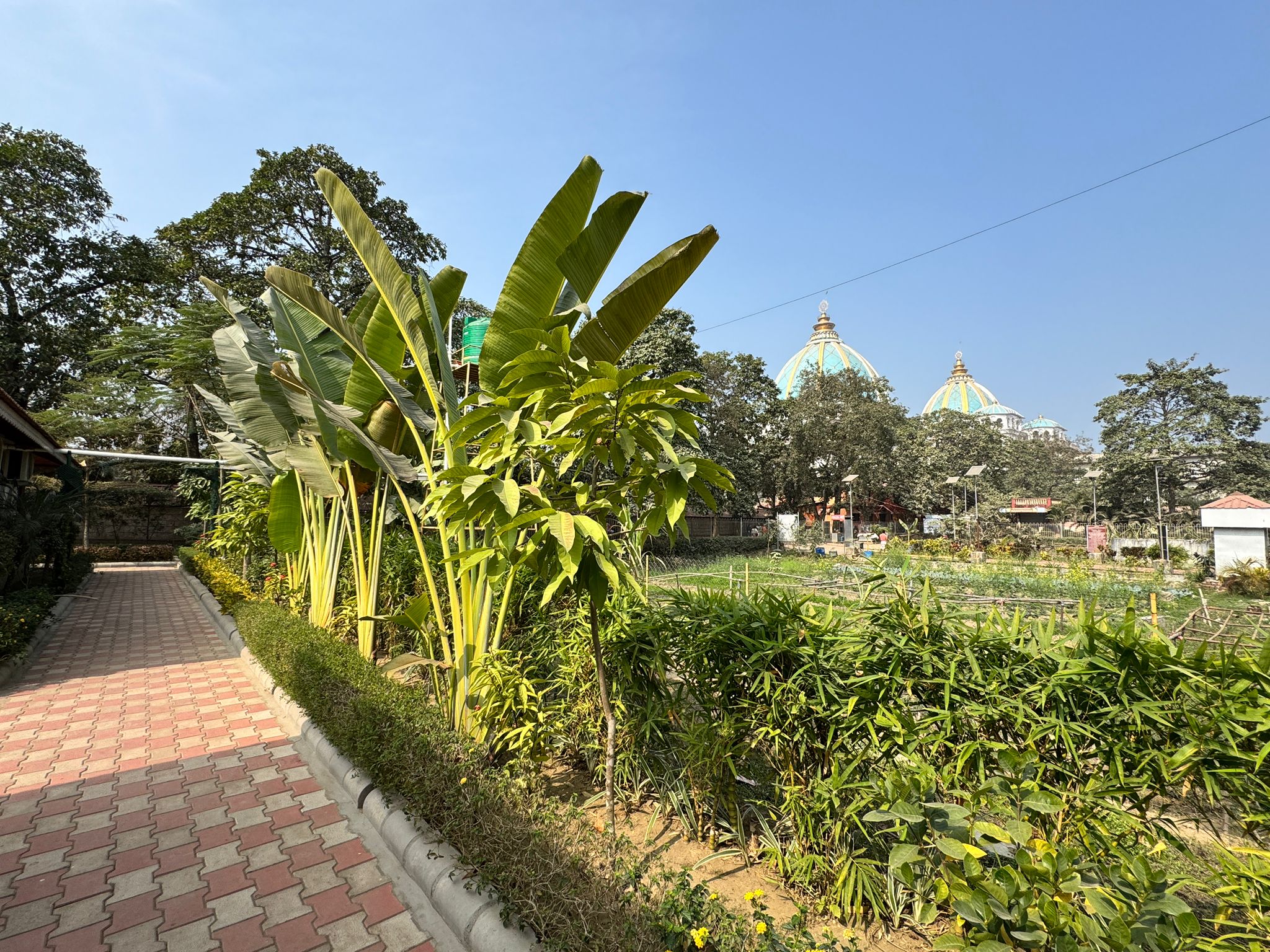 AC Room with King size bed